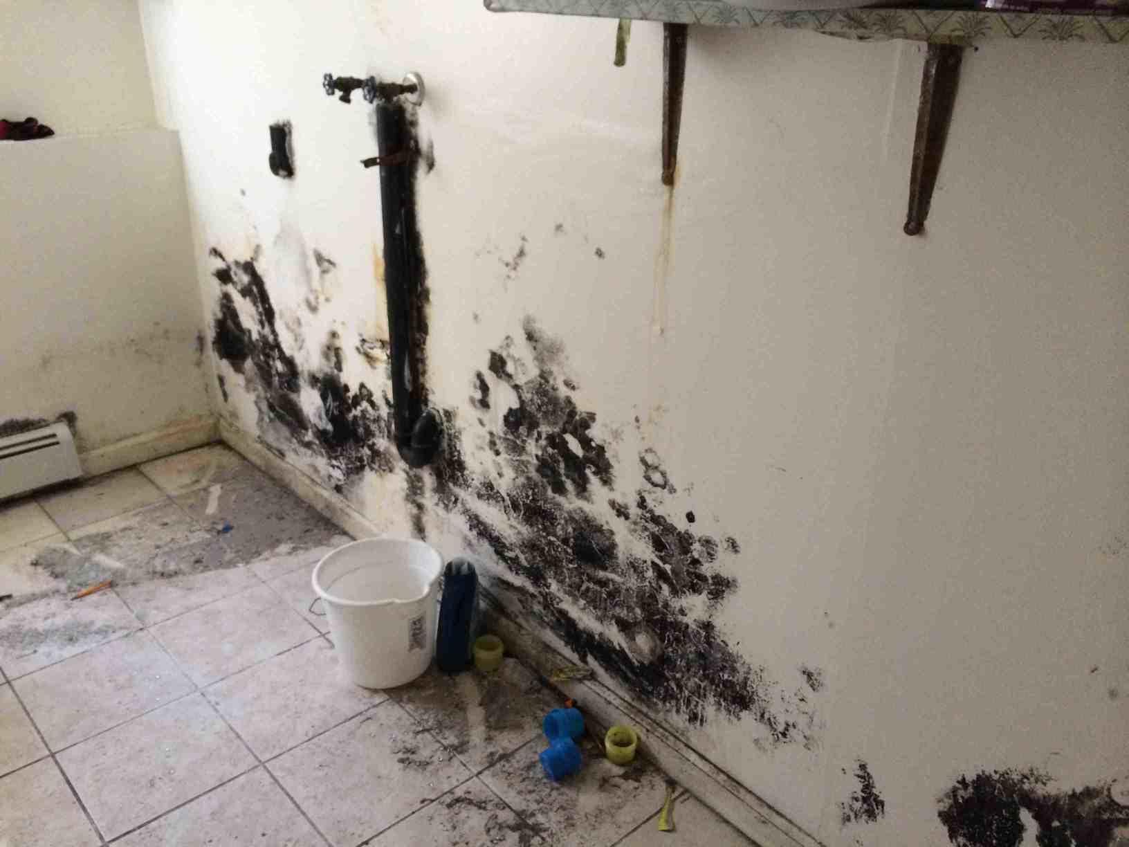 mold on wall