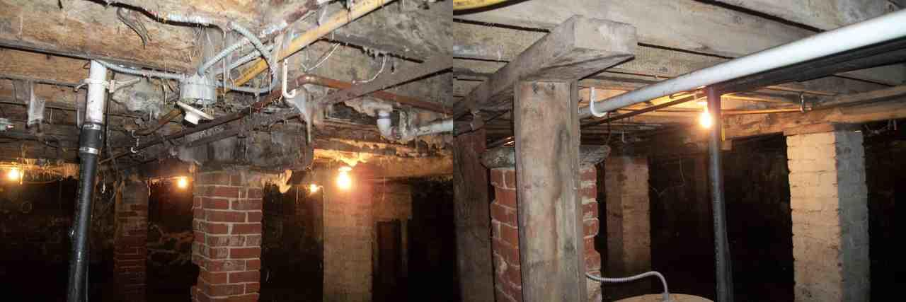 Basement Mold Damage: Before and After
