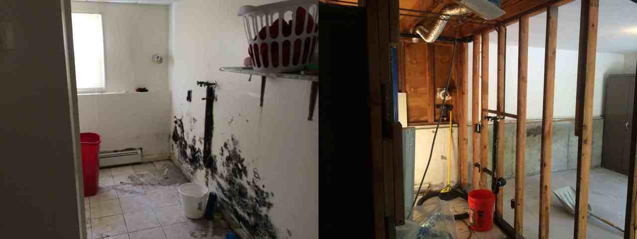 Bathroom Mold Damage: Before and After