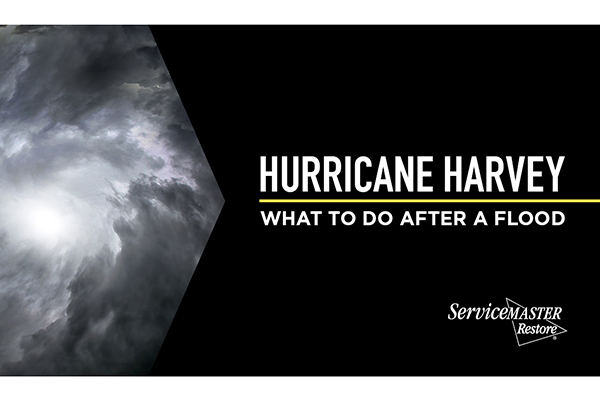What to Do After a Flood?
