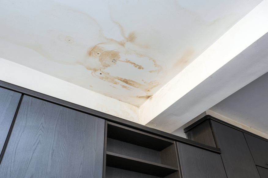 Mold Mitigation Saratoga