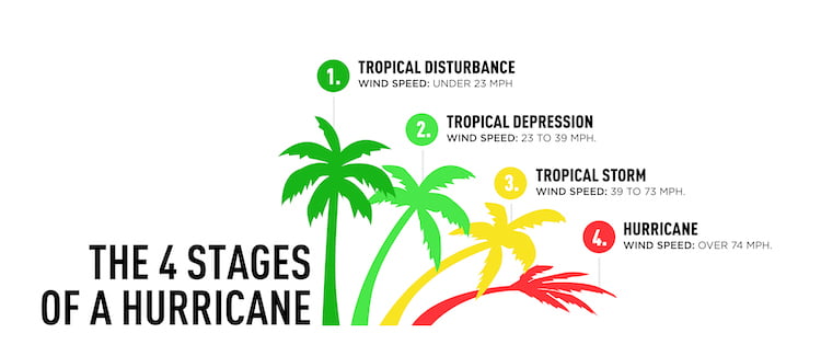 wind speed infographic showing hurricane wind speed