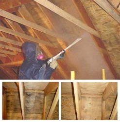Mold Removal Falmouth ME