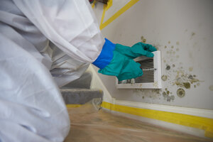 mold remediation expert removing mold from walls in Visalia