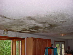 molds in ceiling
