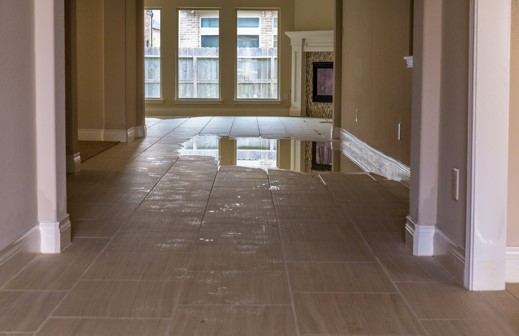  Standing water in a living room before water damage restoration services