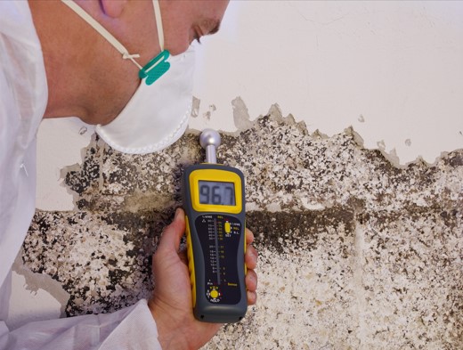 mold remediation specialist testing wall covered in black mold