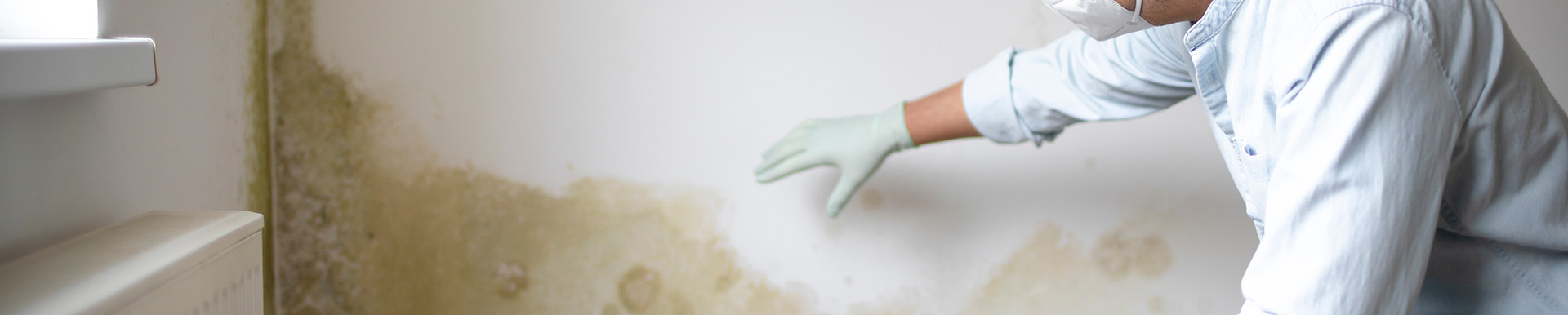 Mold Remediation Memphis | ServiceMaster by Cornerstone