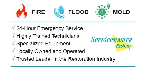 Fire Flood and Mold infographic