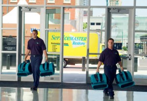 Servicemaster workers with large fans