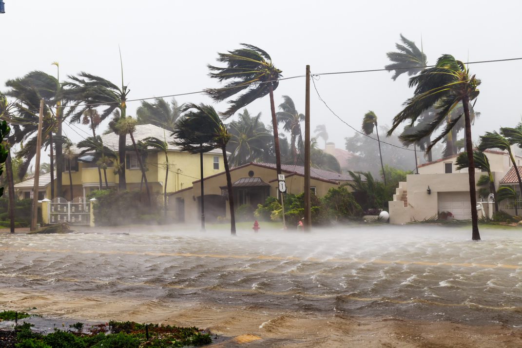 Wind blowing trees and flooding in streets