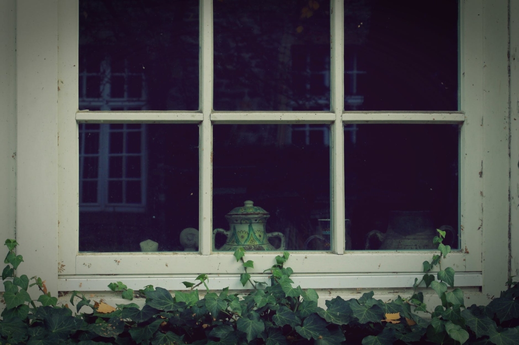 Window