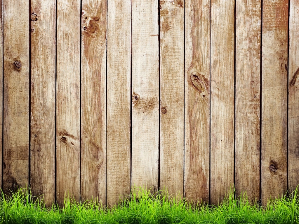 Fence