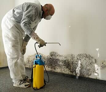 Man Removing Mold From Wall