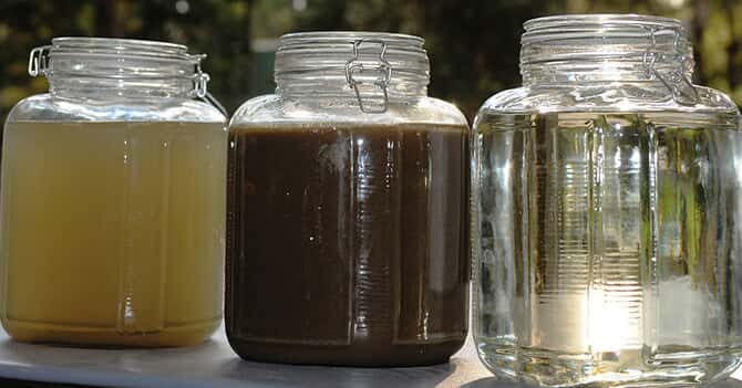 Jars of Various Water Damage
