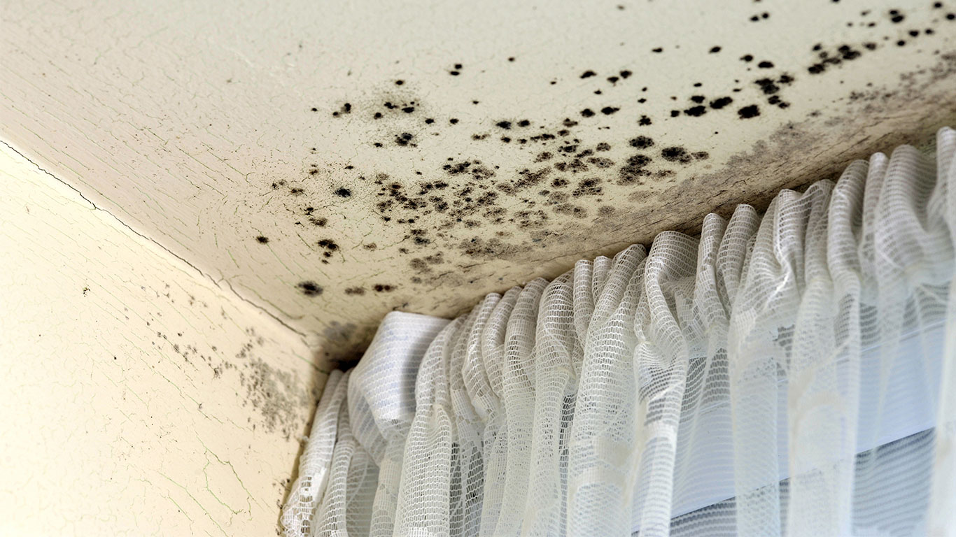 Mold above curtains