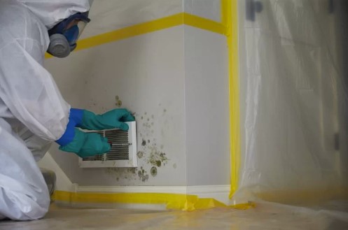 worker getting rid of mold