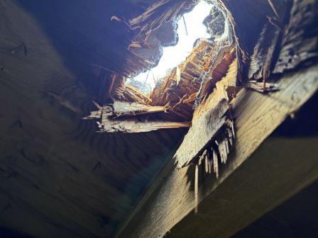 damaged roof with a hole caused by a tree fall