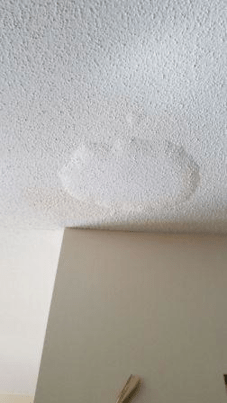 Bubbled ceiling