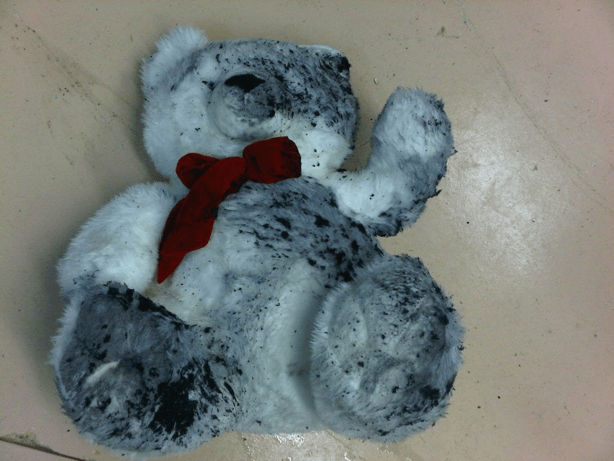 Dirty Teddy Bear