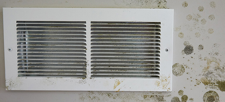 mold on a vent