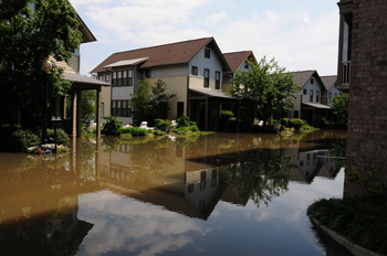 flooded neighborhood