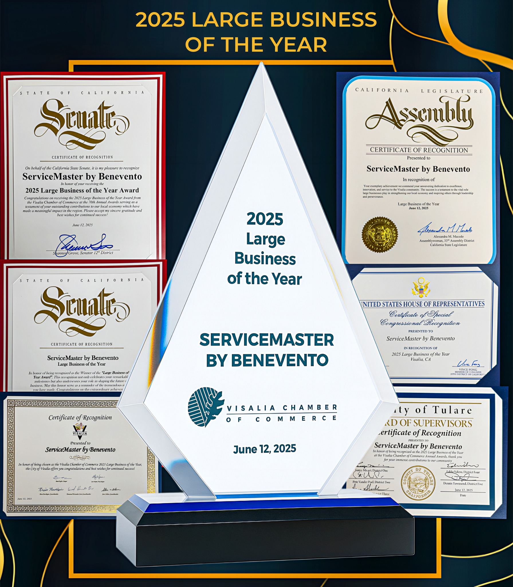 2025 Large Business of the Year