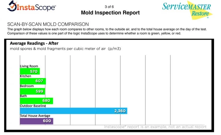 mold inspection report