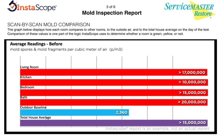 mold inspection report