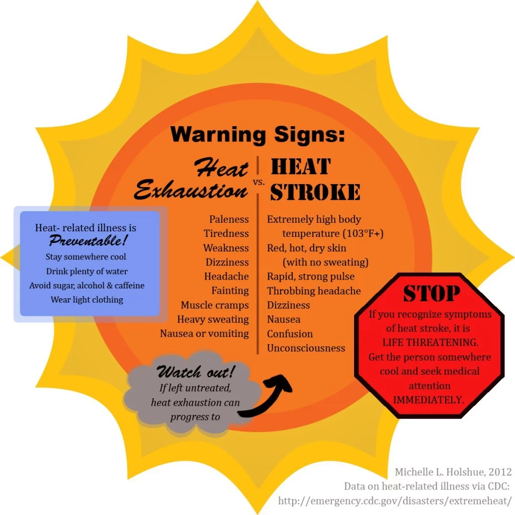 Warning Signs of Heat Illness graphic