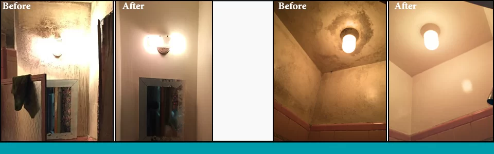 before and after images of mold removal