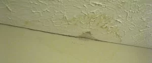roof leak on wall