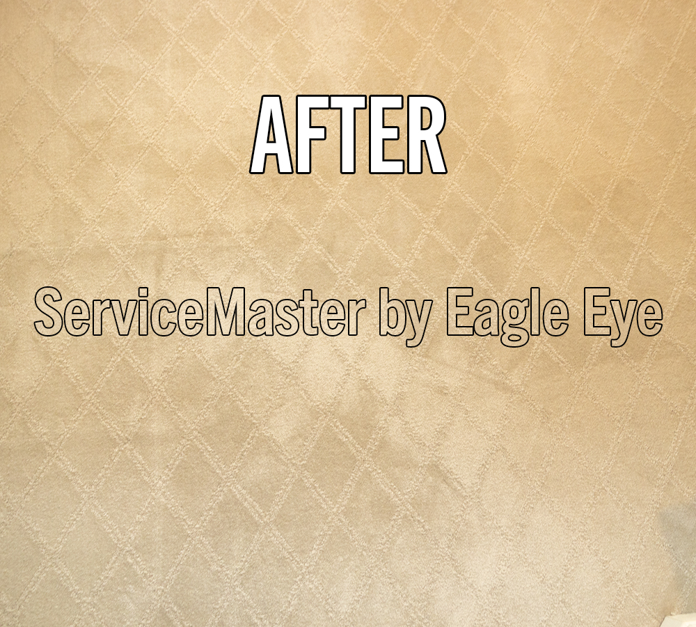 carpet after being cleaned by ServiceMaster by Eagle Eye