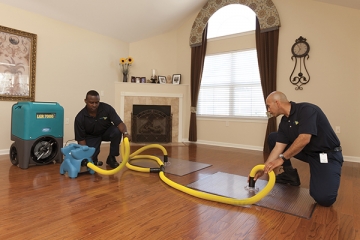 Your Complete Career Guide to Becoming a Water Damage Restoration Technician