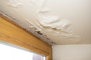 ceiling damage