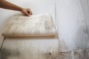 mold under wallpaper