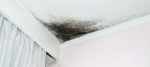 mold on cieling