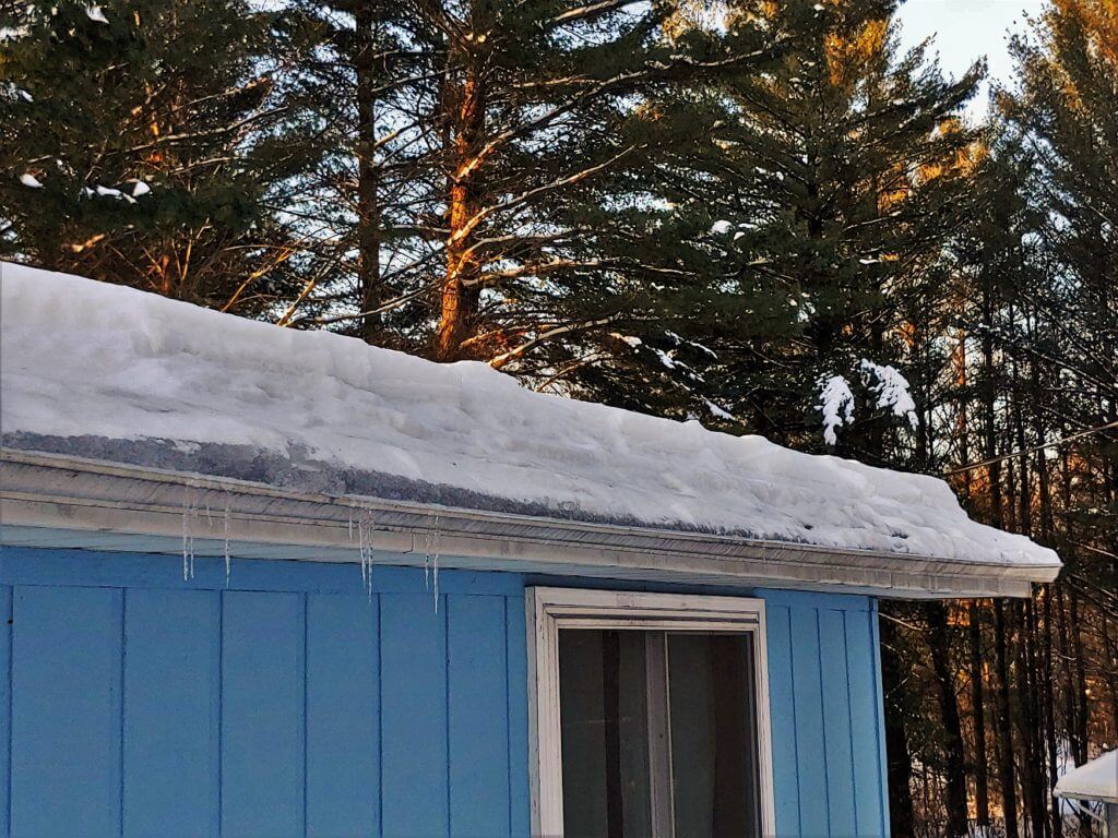 snow on trees and roof