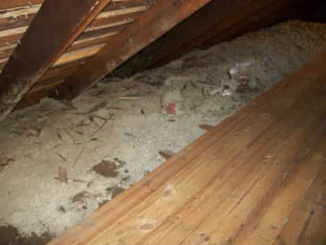 dirty attic