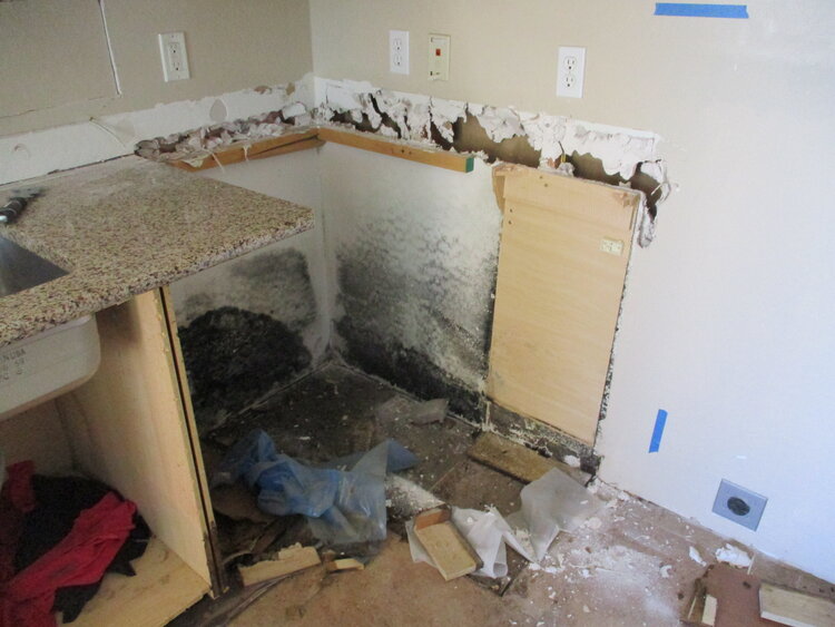 Mold around a cabinet