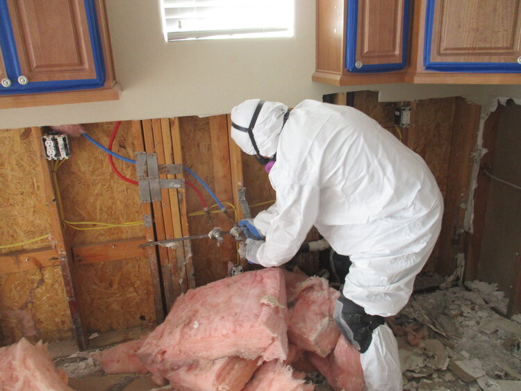 Mold abatement 