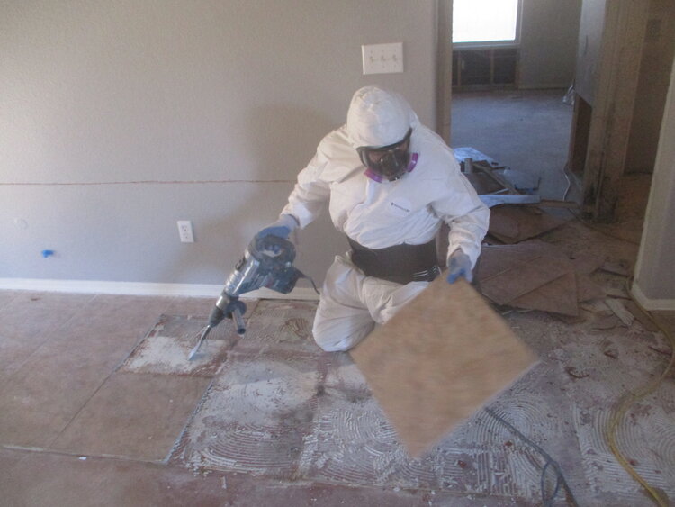 Mold abatement in progress