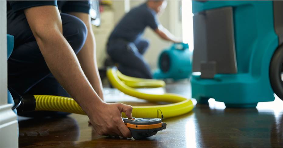 Closeup of Men Holding Cleaning Equipment on Floor