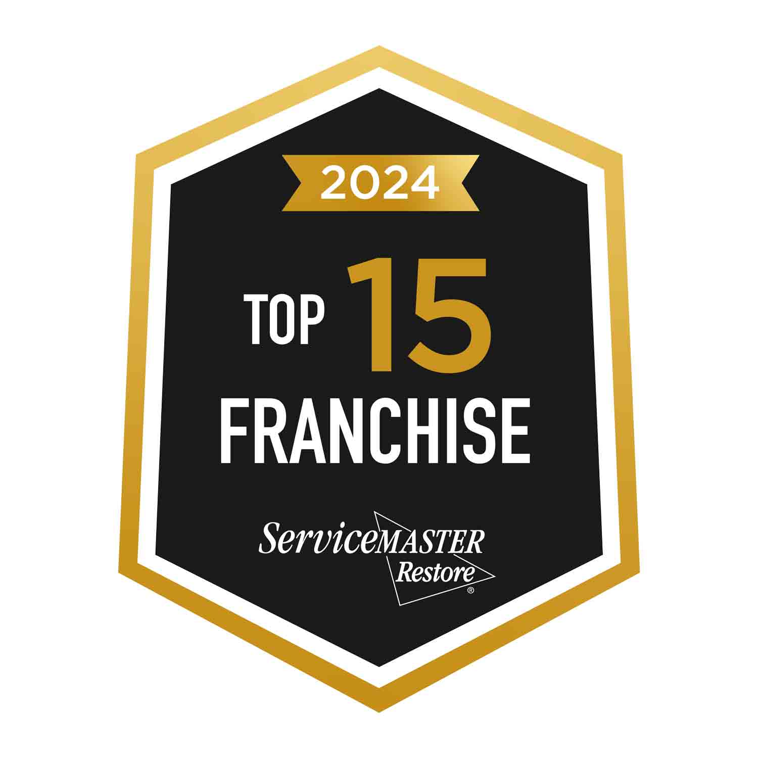 Top 15 Franchise 2024