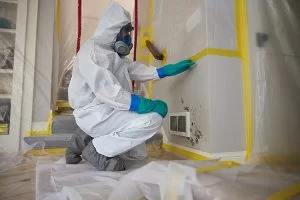 service master professional performing mold remediation