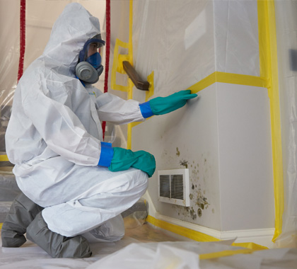 A specialist in protective gear performing mold remediation in South Bend, IN