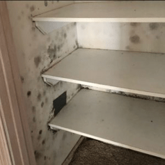 Moldy closet