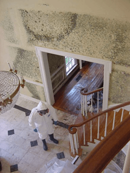 Mold Remediation Plano, TX