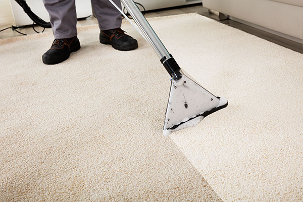 carpet cleaning vacuum 