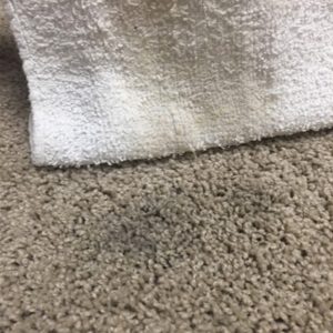 cloth soaking up wax from carpet